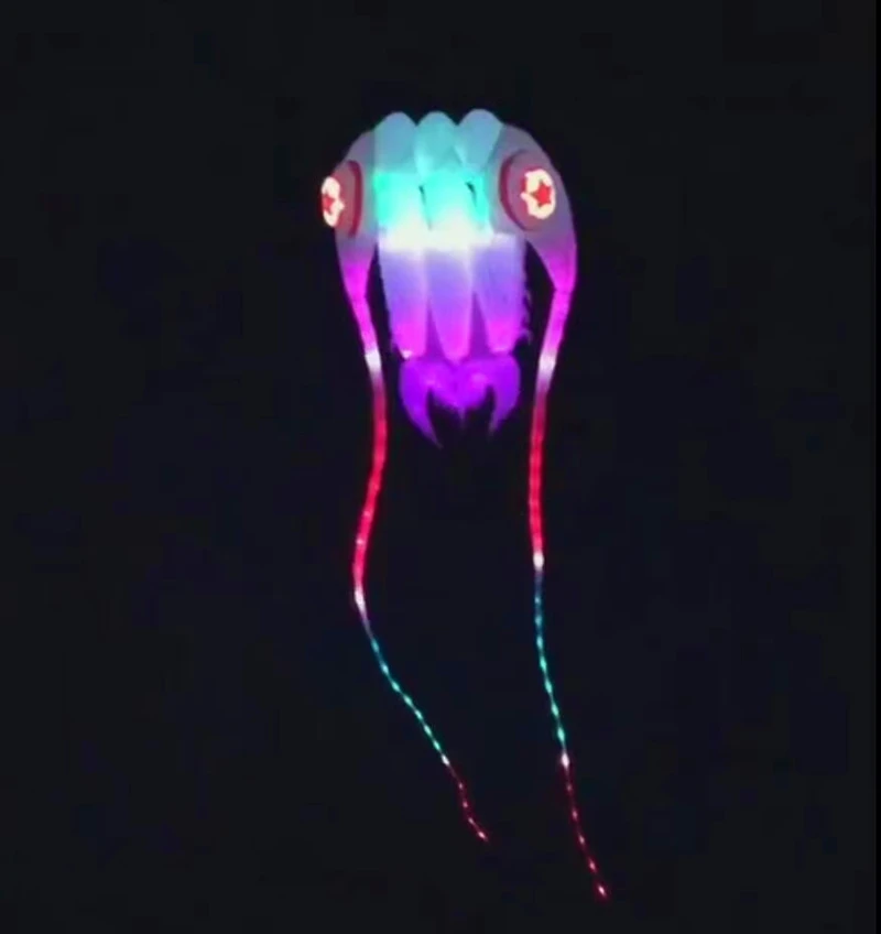 Cerf-volant trilobite LED pour adultes, ligne de ficelle, planche à voile, papalote, jouets de plein air, sport professionnel, koi, carpe