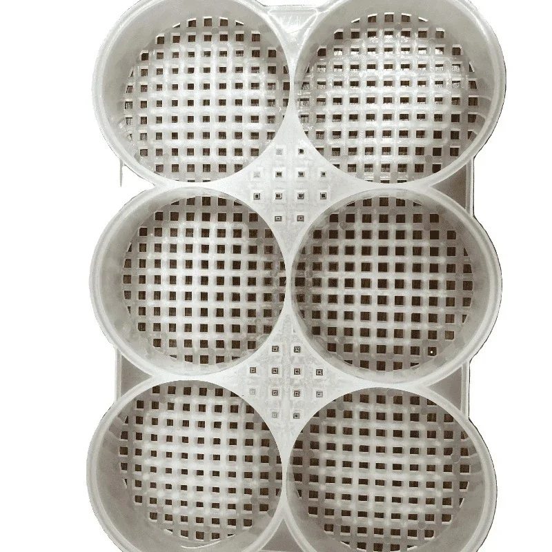 Make plant spare parts 083mm square noodle slitter set with noodle box and comb