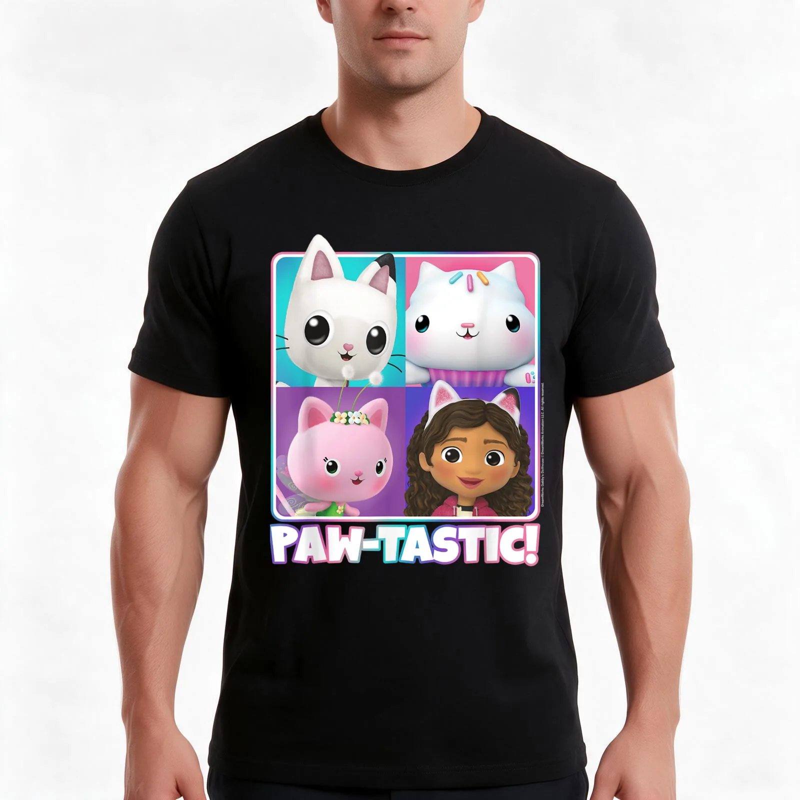 Paw Tastic Box T-Shirt, Summer Casual Cotton Tee, Oversized Streetwear Tops, Vintage Graphic Print, Loose Fit Short Sleeve