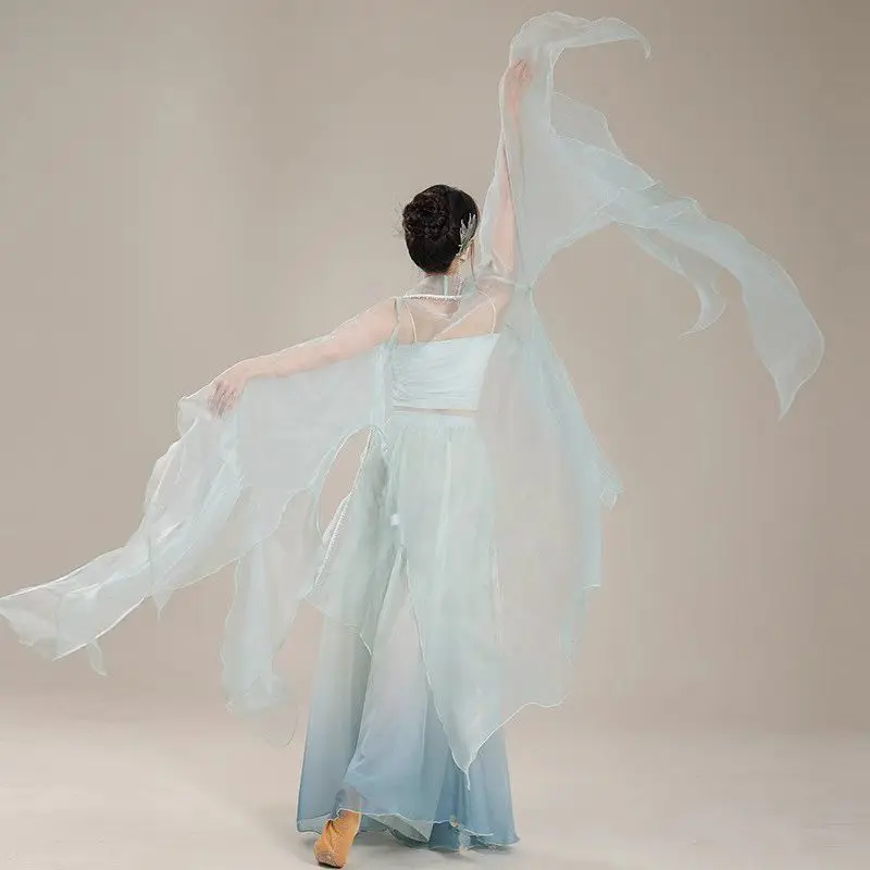 زي الرقص الكلاسيكي من Ele، أداء المسرح الأثيري، قمة فضفاضة مناسبة لممارسة الرقص العرقي التقليدي