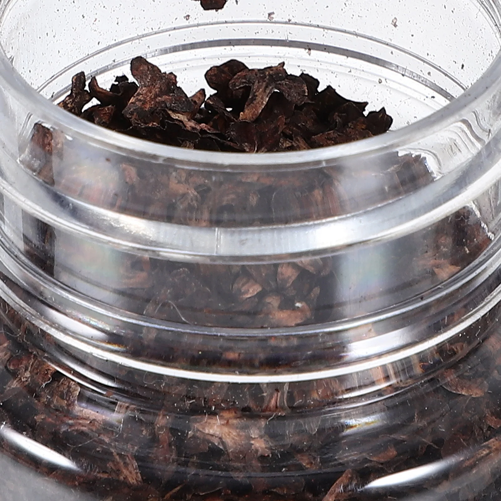 

1 Bottle Realistic Miniature Leaves Simulation Leaves Decorative Fake Lawn Ornament for DIY Landscape Home Garden Office Decor