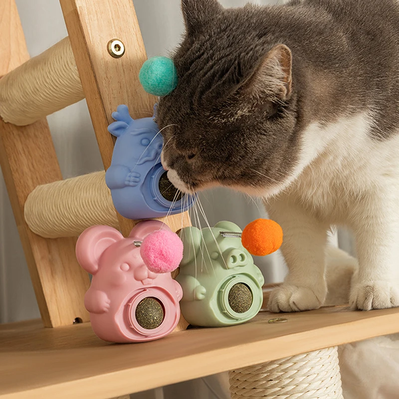 Catnip bál živočich vzhled otočný čistý huba podporovat trávení kousat lick žvýkat opatrovat bál hraček pro kočky kotě zvířátko hračka zásoby