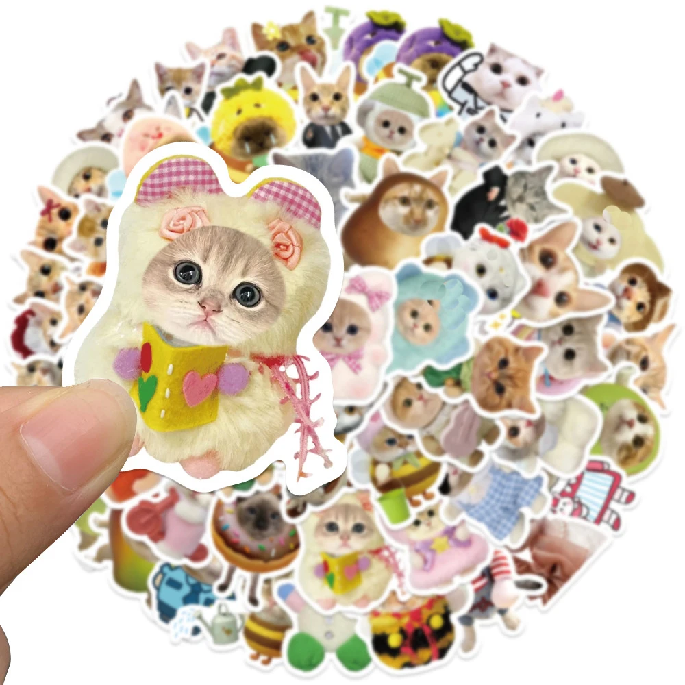 10/30/62pcs Cute Funny Cat Meme Graffiti Stickers Kawaii Cartoon Creative Decals DIY Skateboard Phone Luggage Sticker Decoration
