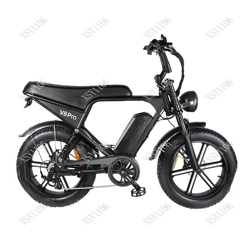 Vintage Fat Tire Electric Bike Off-Road Snow Mountain Bicycle for Outdoor Sports