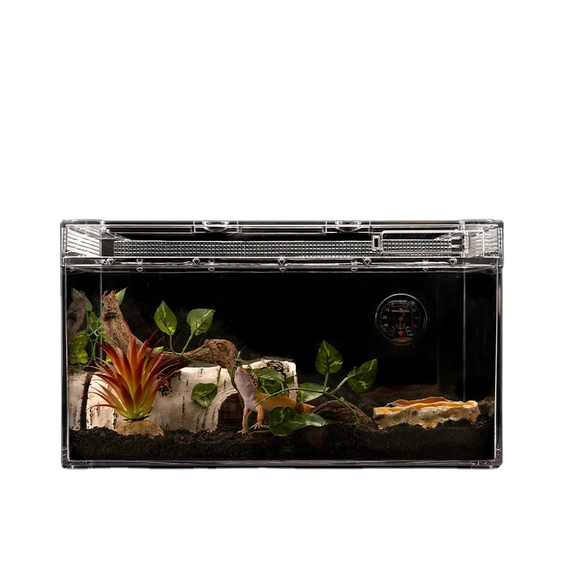 

Барбрый рост BG ZJDS-P для домашних животных, ползающих домашних животных, рептилий, ящериц, ландшафтный цилиндр, клетка для рептилий, террариума