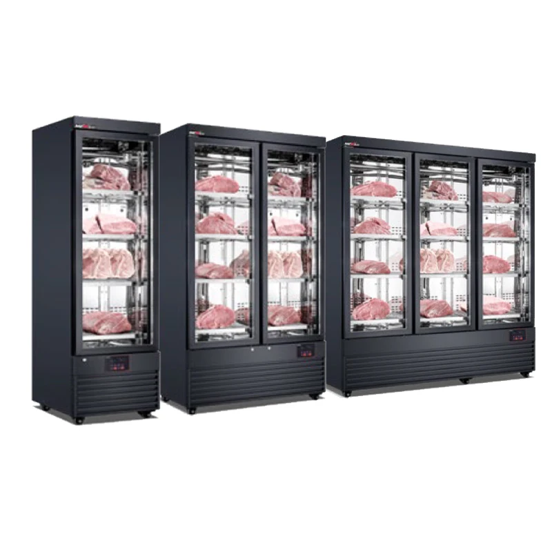 Dry Ager Meat Curing Refrigerator Equipment Wet Aging Beef Cabinet Cooler Factory Wholesale Commercial Hotel Restaurant Custom