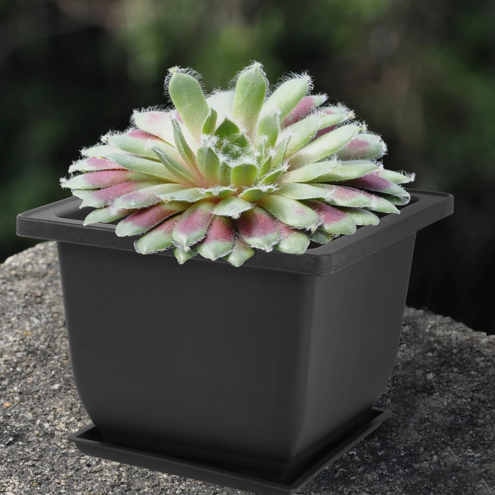 

5 Sets Flowerpots High Quality Durable Plastic Bonsai Decorative Square Planting Pots for Succulents Garden