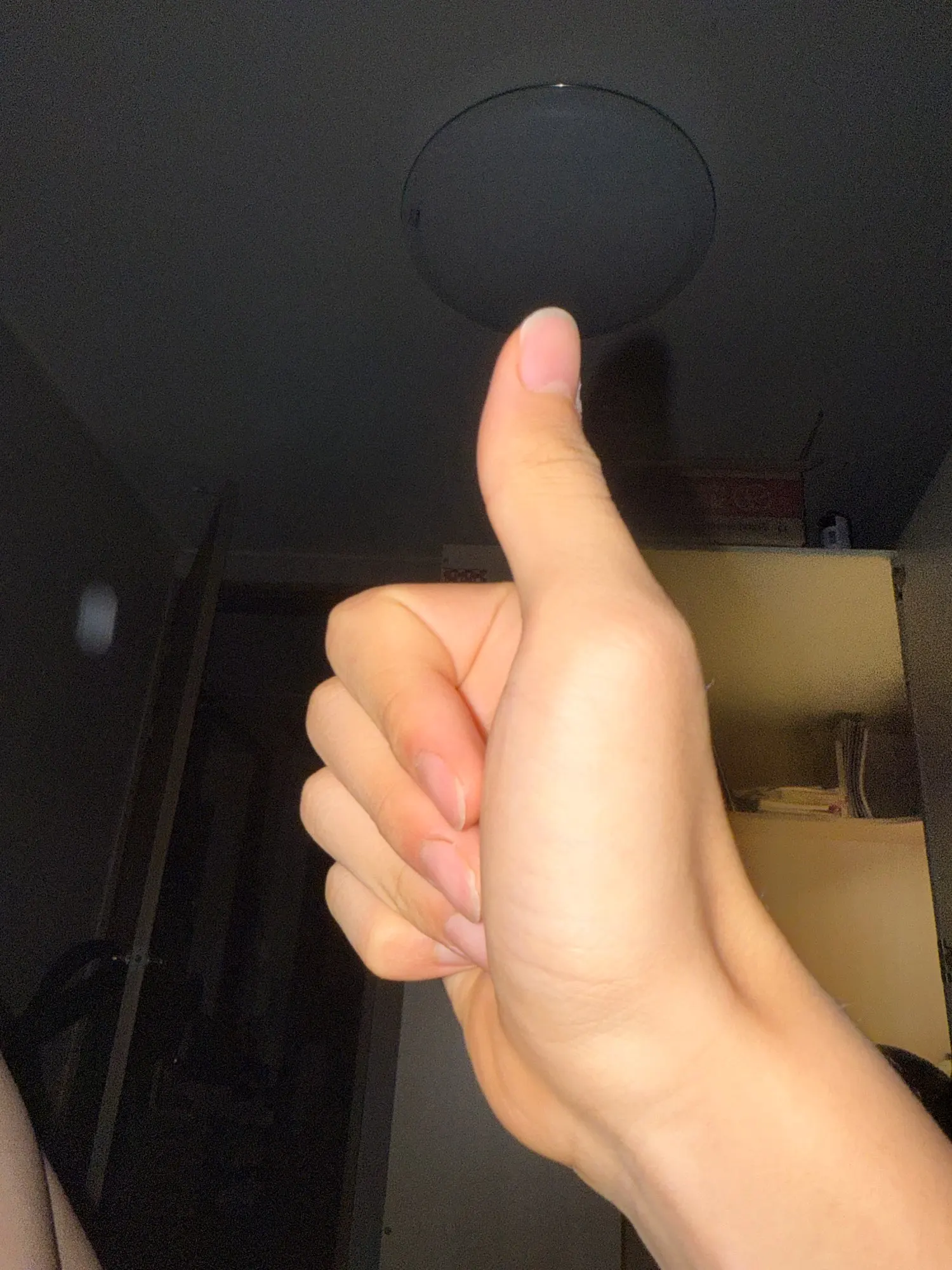 실물 포토 리뷰