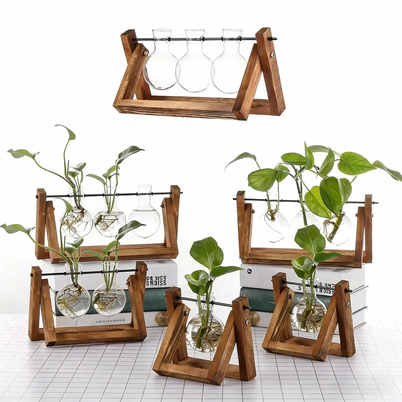 Einfache Glas-Hydrokultur-Vase mit Holzständer Desktop-Grünpflanzen-Kultivierungsbehälter Wohndekor-Ornament