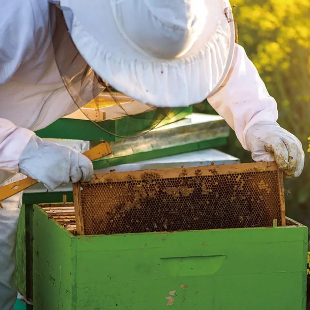 

1 пара безопасных пчеловодских перчаток, анти-укус, парусиновые перчатки из овчины, перчатки против пчел, профессиональные инструменты для улья, инструменты для пчеловодства