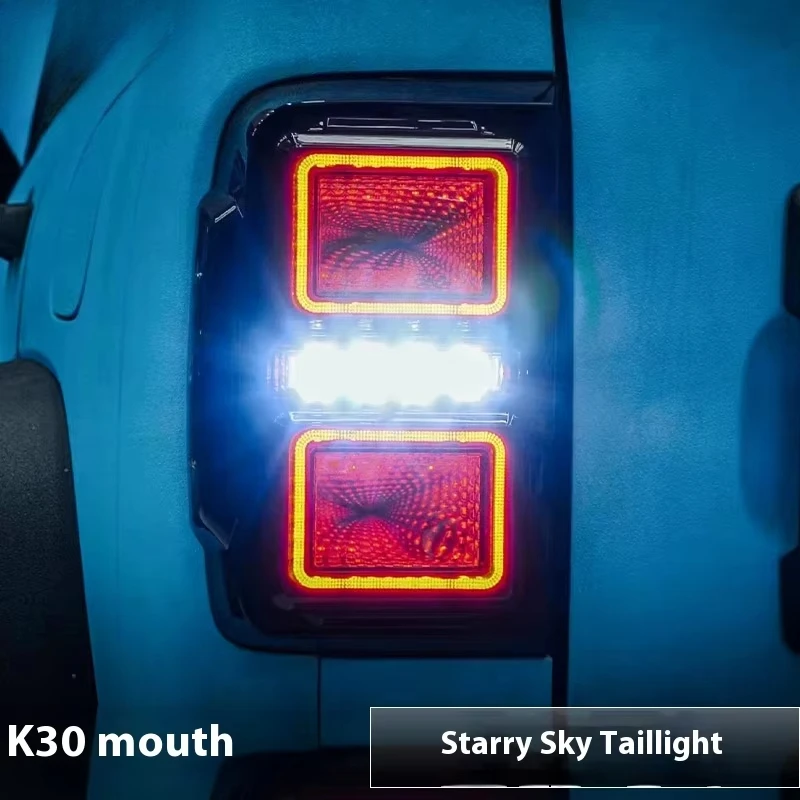 Starry Sky LED Tail Light Assembly for Tank 300 ABS Black Brake Steering Red Lens New Condition Special Rear Lamp Accessory