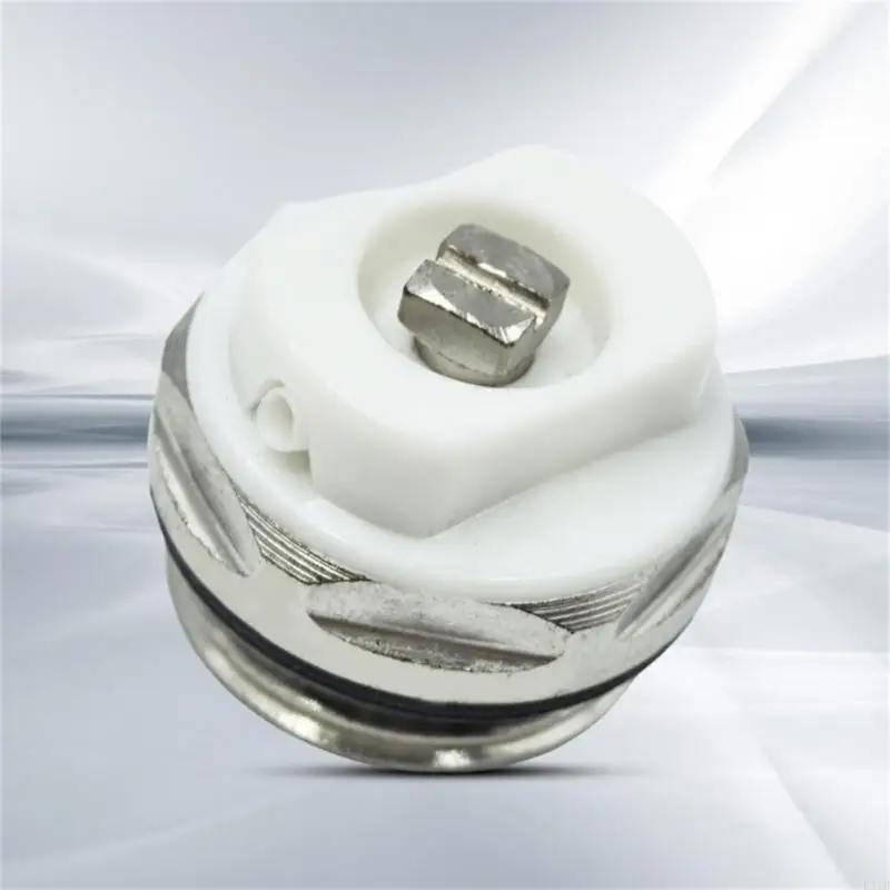 E21B 6PCS RADIATOR VALVES RELEASE