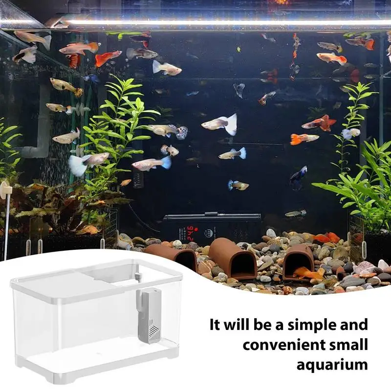 Small Aquarium Fish Tank Kit Creative Fish Aquarium With wall-mounted hydroponic planting basket desktop Ornament home decor