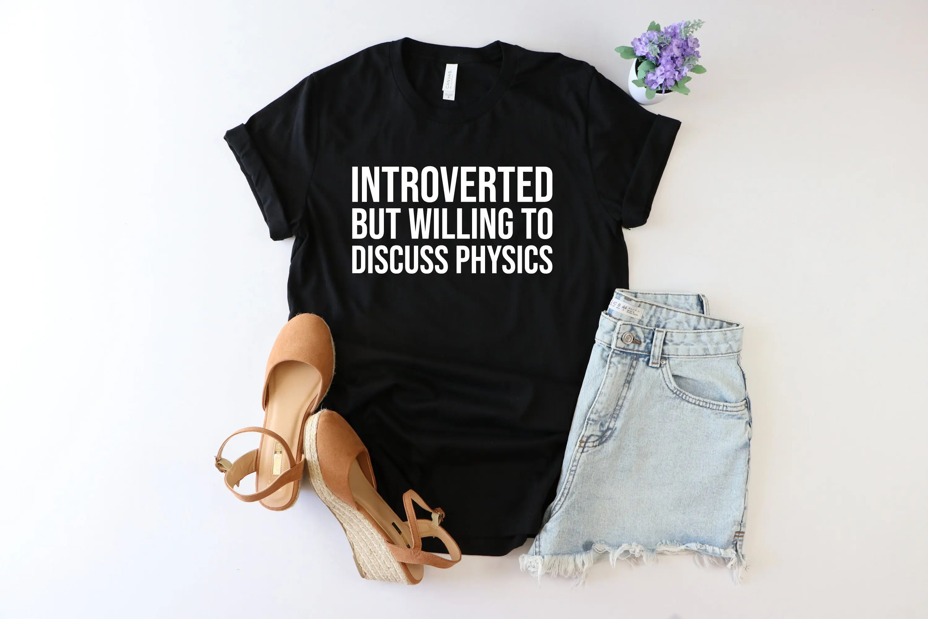 Inroverted but willing to discuss physics shirt teacher appreciation tutor