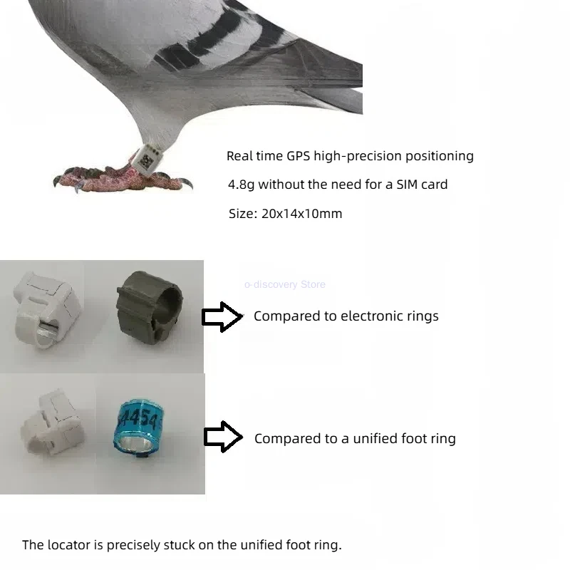 Pigeon Racing Pigeon Parrot 5 Crow Y GPS Positioning Tracker Positioning Foot Ring