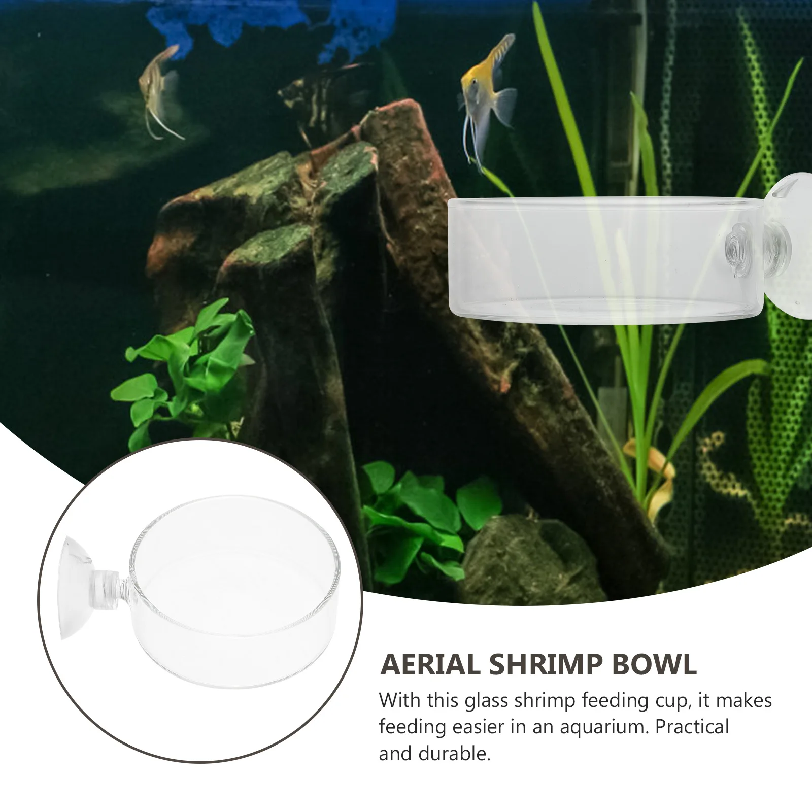 

2pcs Pot Delicate Smooth Feeder Suction Cups Easy Clean Glass Acrylic Fish Tank Shrimp Feeders Transparent Food Dish