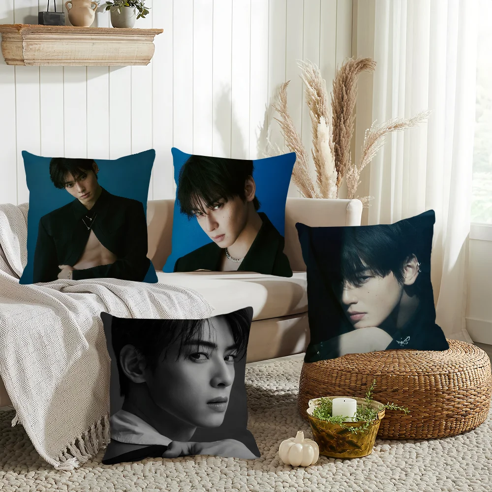 

Singer Cha Eun-woo Pillow Case Home Decoration Cushion Cover Suitable For Office Sofa Bedroom Car