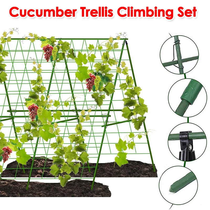 

Garden A-Frame Vegetable Plant Climbing A-Frame Kit Rustproof Vine Cucumber Trellis Tomatoes Grapes Climbing Trellis