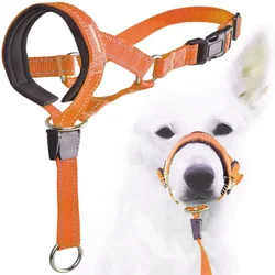 Creative Dog Halter Halti Training Head Collar Gentle Leader Harness Nylon Breakaway All Seasons Usefull Harnesses Lead hot