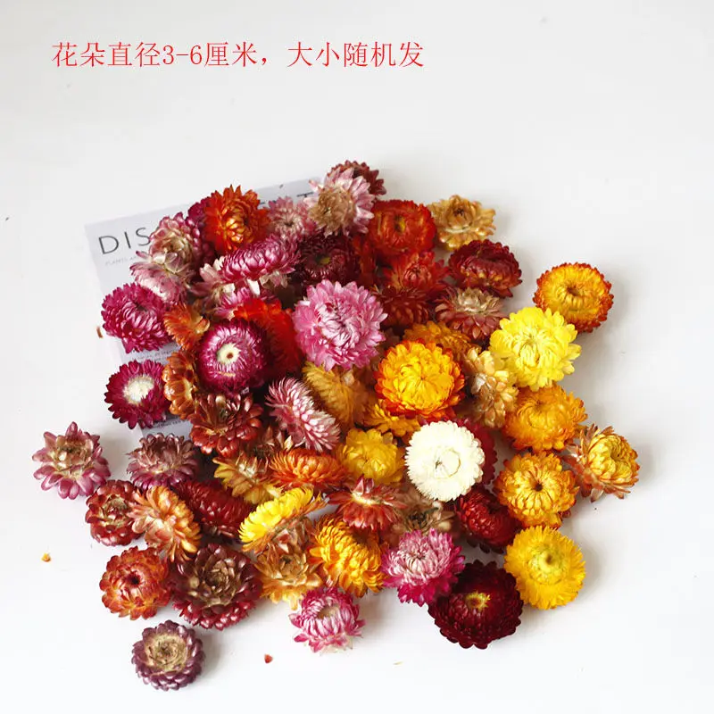 

100/300pcs Natural Dried Flower Daisy Dry Straw Chrysanthemum Heads Decorative DIY Candle Wedding Decor For All Kinds of Crafts