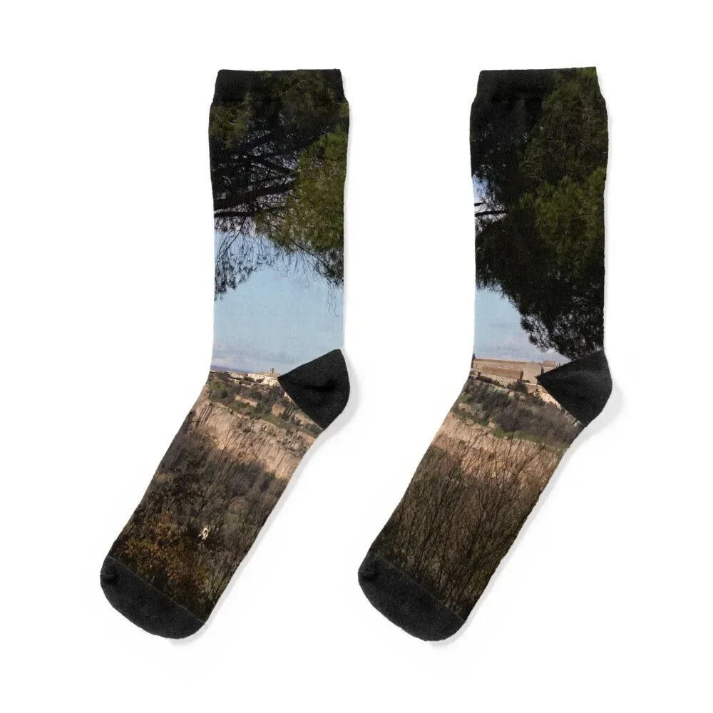 Orvieto framed by pine trees Socks tennis gym set Men Socks Women's