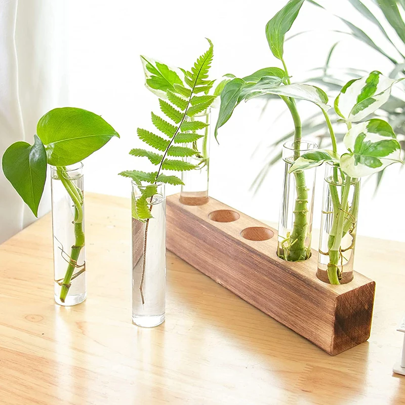 1 Set Creative Hydroponic Plants Container With Wood Frame Desktop Ornament Transparent Glass Test Tube Vase Bonsai Home Decor