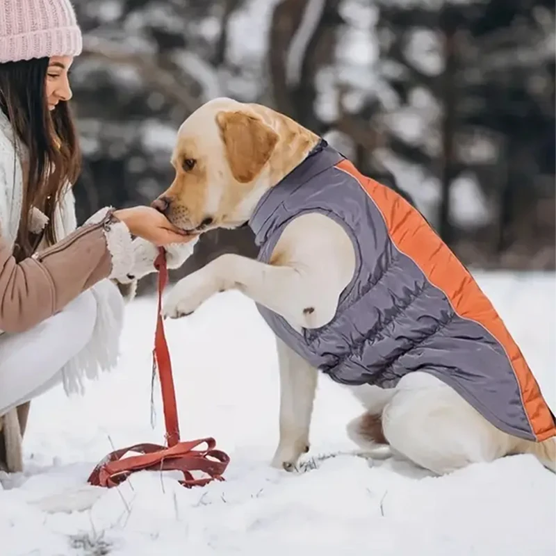 Waterproof Insulated Dog Jacket Warm Cotton Padded Dog Clothes for Medium Dogs Puppy Pet Vest Coat Reflective Winter Apparel