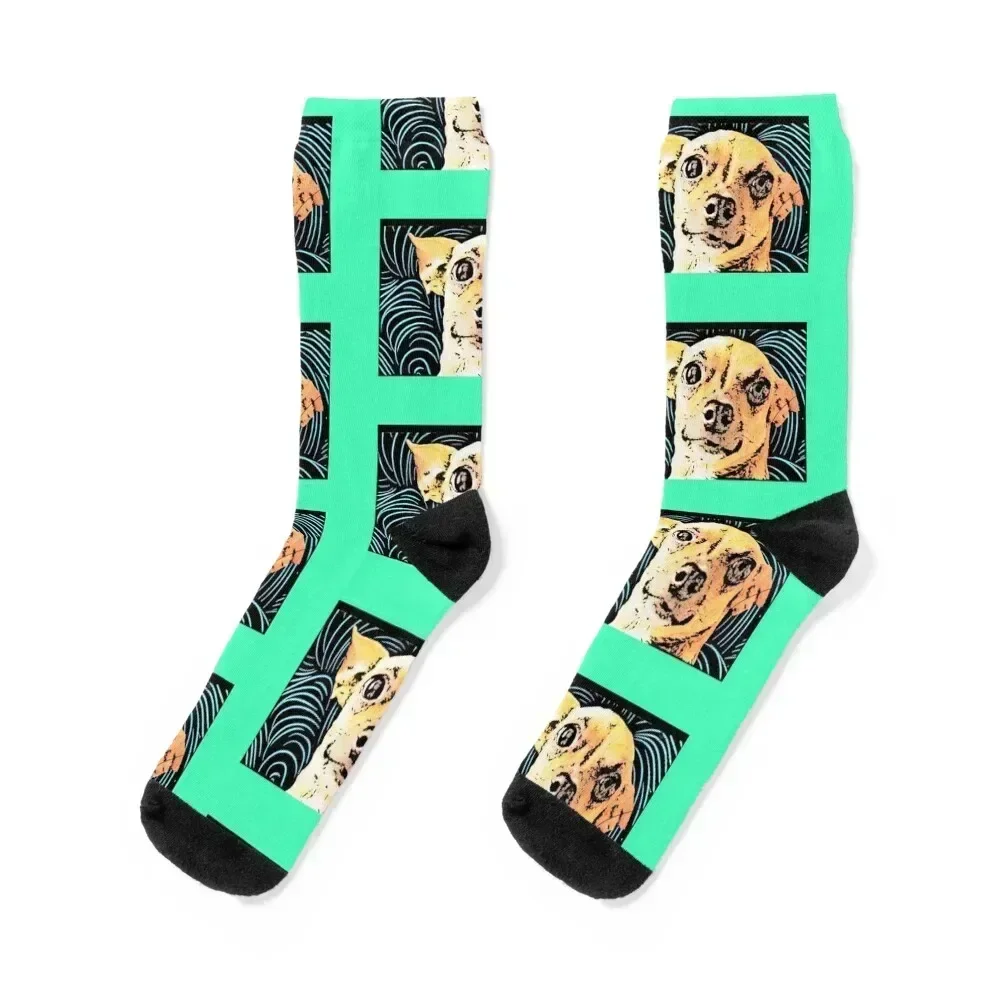

Chiweenie Love Socks Stockings cute Heating sock hiking Socks Ladies Men's