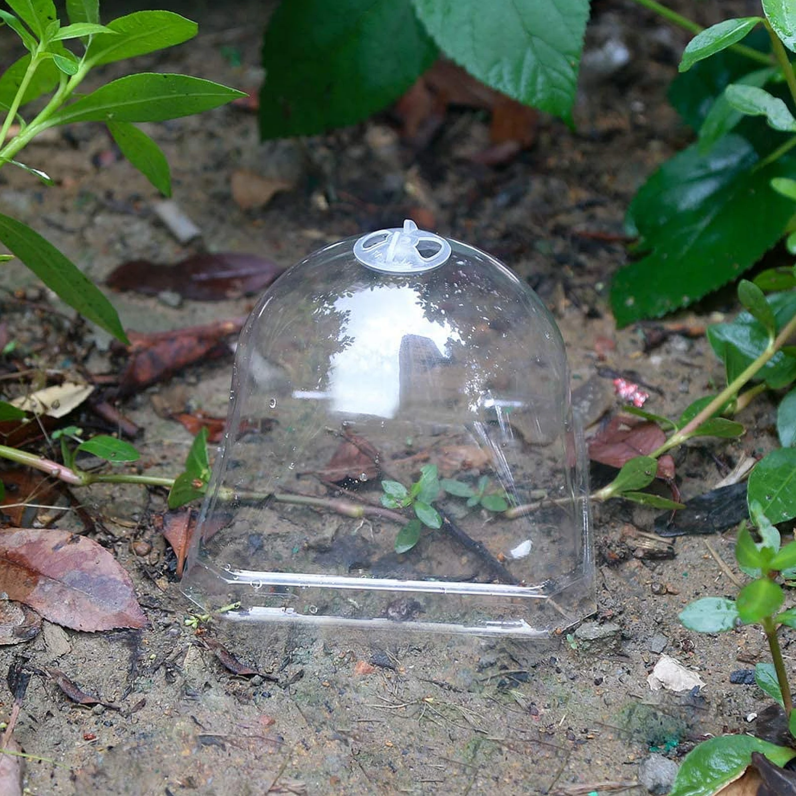 

10pcs Square Seedling Pot Covers 7x7cm Thickened Plastic Dome for Plant Growth Gardening Accessories Plant Cloche COVER