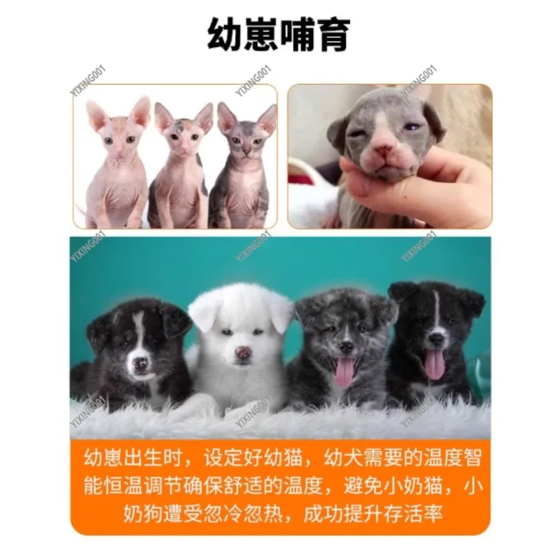 Pet Oxygen Supply Warm Box - PVC Smart Thermostatic Incubator for Kitten Puppy Breeding & Nursing