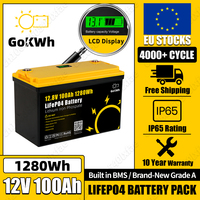 GoKWh 12.8V 100Ah LiFePO4 Battery 100% Capacity 4000+ Cycles LFP Cell Batteries Built-in 200A BMS For RV Boat Golf Cart Forklift