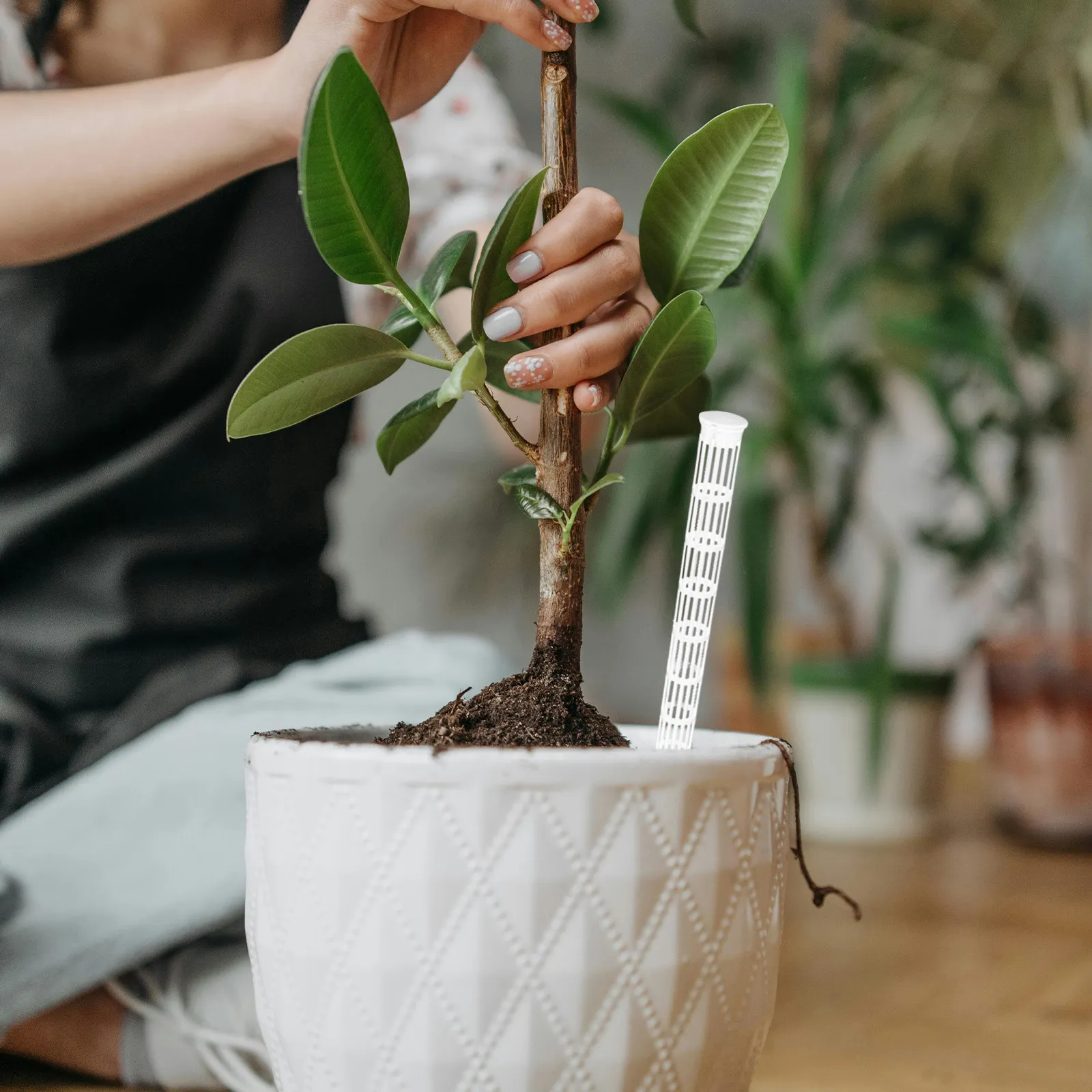 30Pcs Breathable Soil Rods 9.8 Inch Plant Root Ventilation Stakes for Indoor Gardening Succulents Oxygenation Aeration System