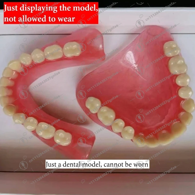 Wholesale full mouth denture sample models and elderly full mouth and half mouth tooth models are available image 6
