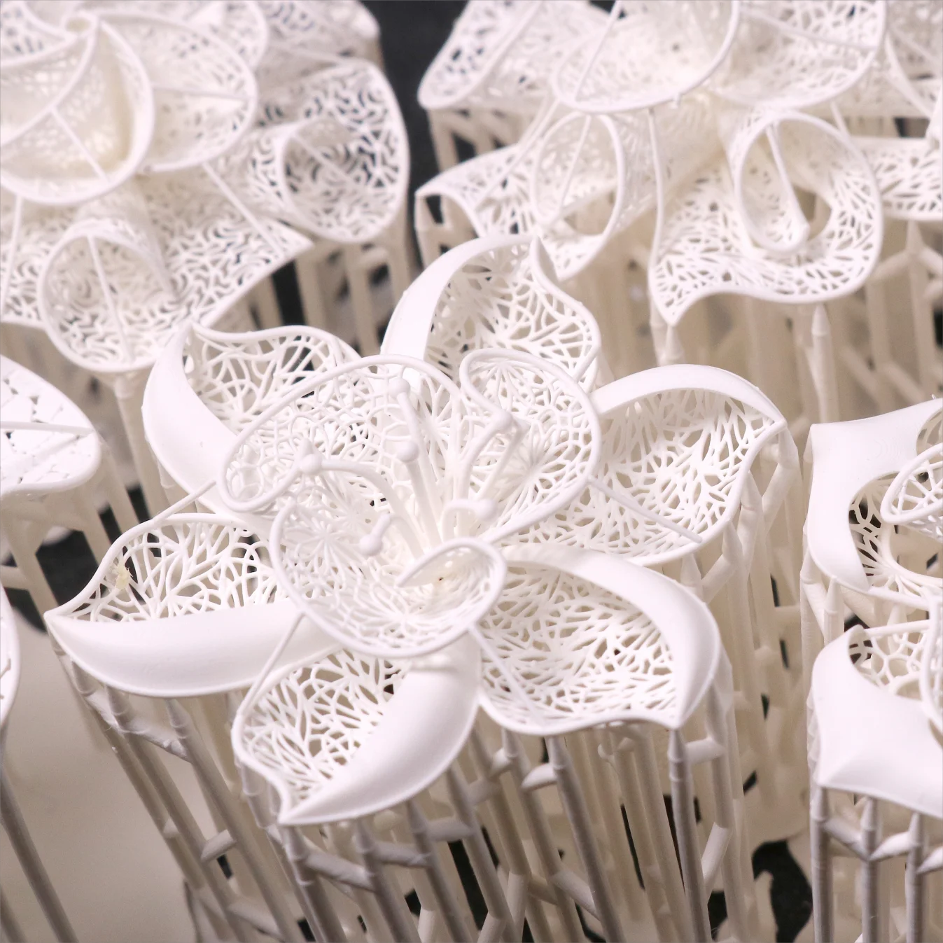 1000g 500g 800D สีขาว WAX หล่อเรซินสําหรับเครื่องประดับ GOLD DLP LCD 3D เครื่องพิมพ์คุณภาพสูงความแม่นยําสูง