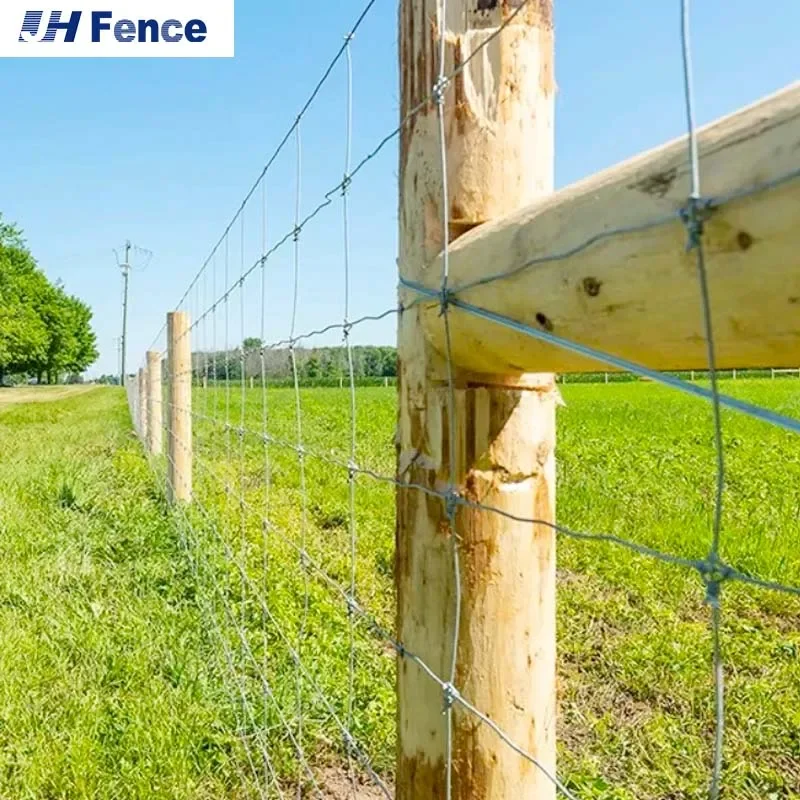 Hinge Joint Field Fence Cattle Fence Wire Mesh Fence