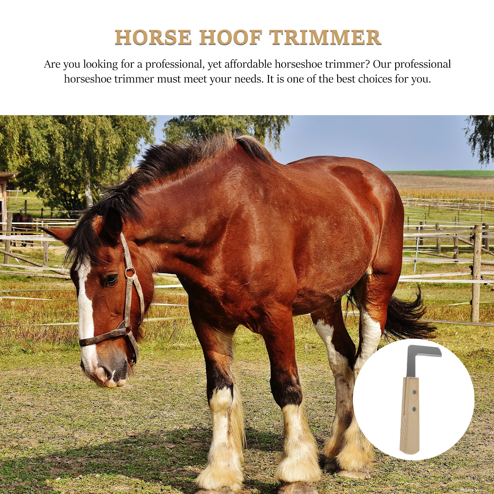 

Stainless Steel Hoof Trimmer For Horse Cattle Sheep Goat Portable Cow Nail Cutter Horseshoe File Equestrian Veterinary Tool