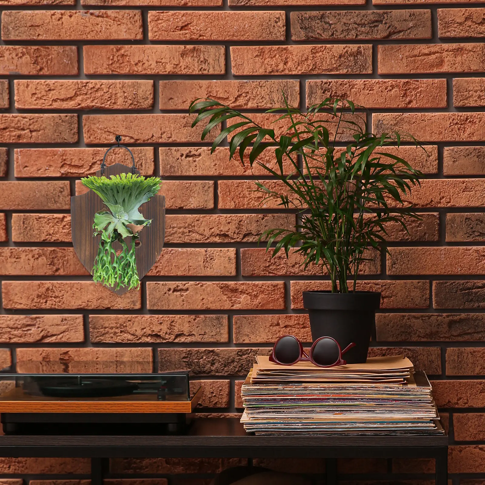 Wooden Staghorn Fern Mounting Board Solid Wood Indoor Hanging Vertical Plant Holder Wall Planter for Orchids Succulents
