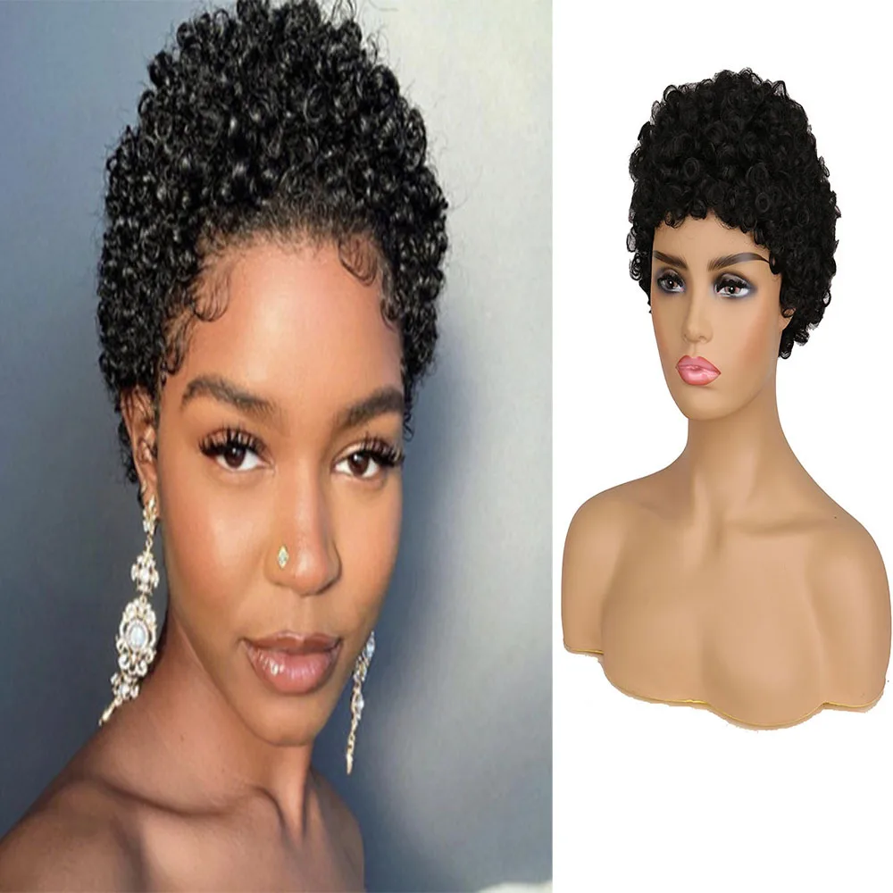 Fashion Trend Short Curly Hair African Small Curly Ladies Wig Head Covers Natural Color Black Hair Head Covers Wigs