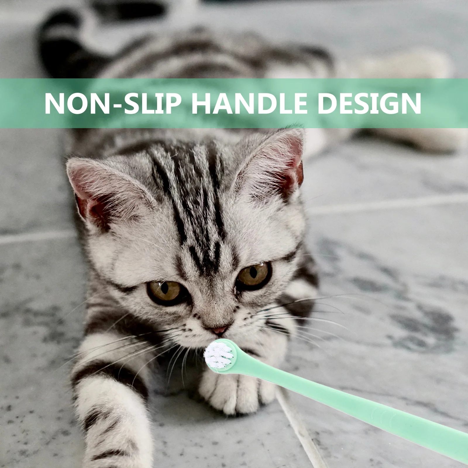 

6pcs Convenient Puppy Wear-Resistant Kitten Toothbrushes Household Cat Toothbrushes High-Grade Plastic Tpe Pet Teeth Cleaning