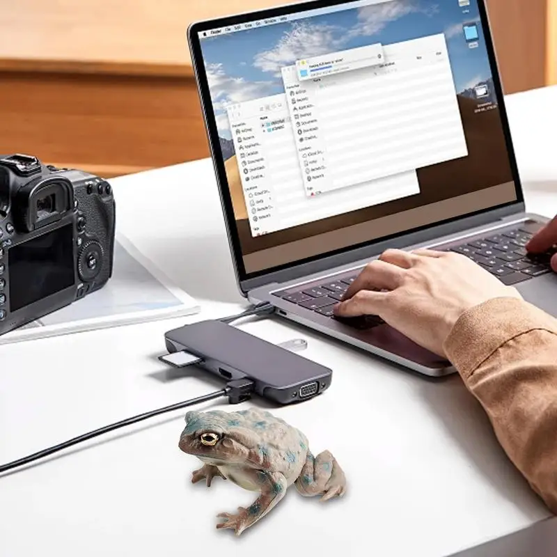 Toad Toy Figure Realistyczne zabawki żaby dla dzieci Figurki żab Śliczne modele statuetek żab Zabawki Miniaturowe figurki kolekcjonerskie dla