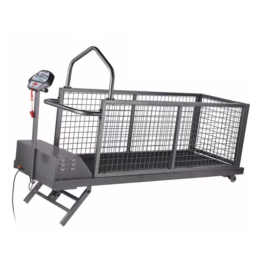 

Pet Treadmill Machine Dog Cat Walking Running Sport Equipment Exercise Rehabilitation Training Stainless Steel Fashion