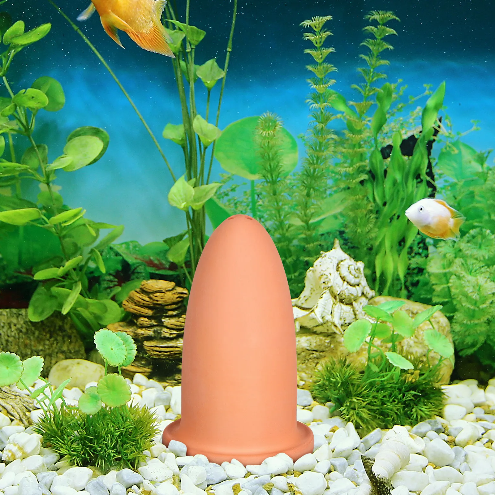 Aquarium Fish Rate - Legebehälter für Angelbarsche – Premium-Handwerkskunst für