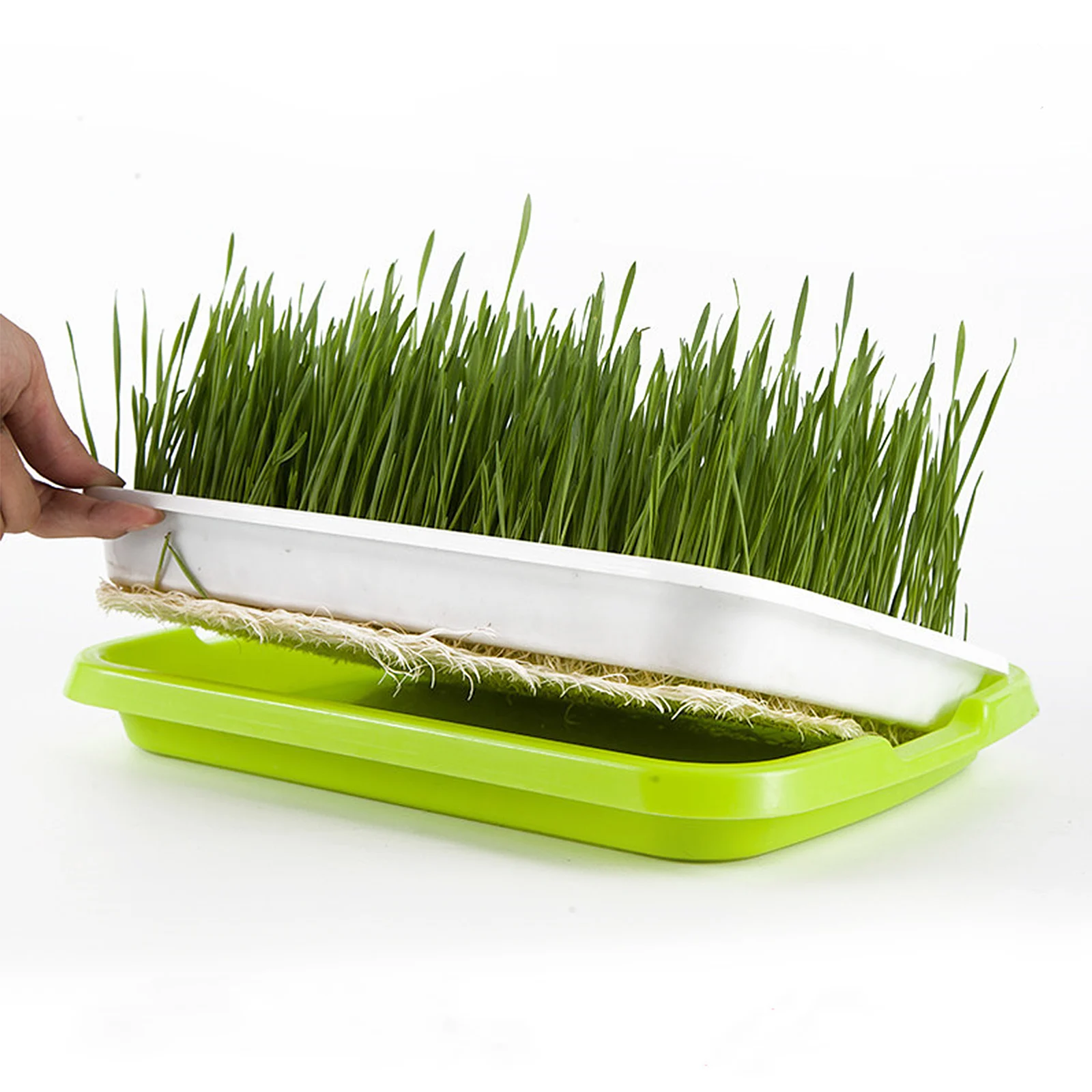 

Plastic Germination Tray Sprouting Kit Bean Sprout Basin Nursery Pot Use Reusable Plant Container