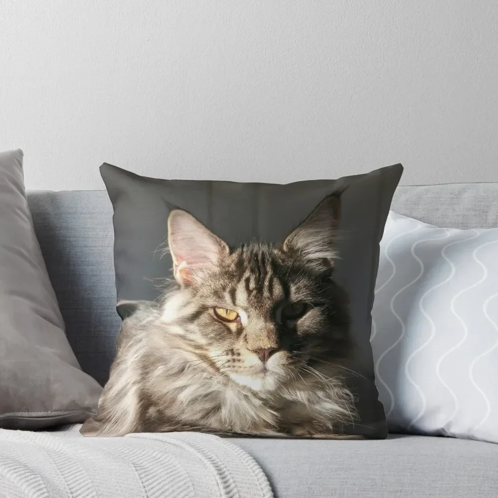 Maine Coon Cat Throw Pillow Ornamental Pillow luxury decor pillow