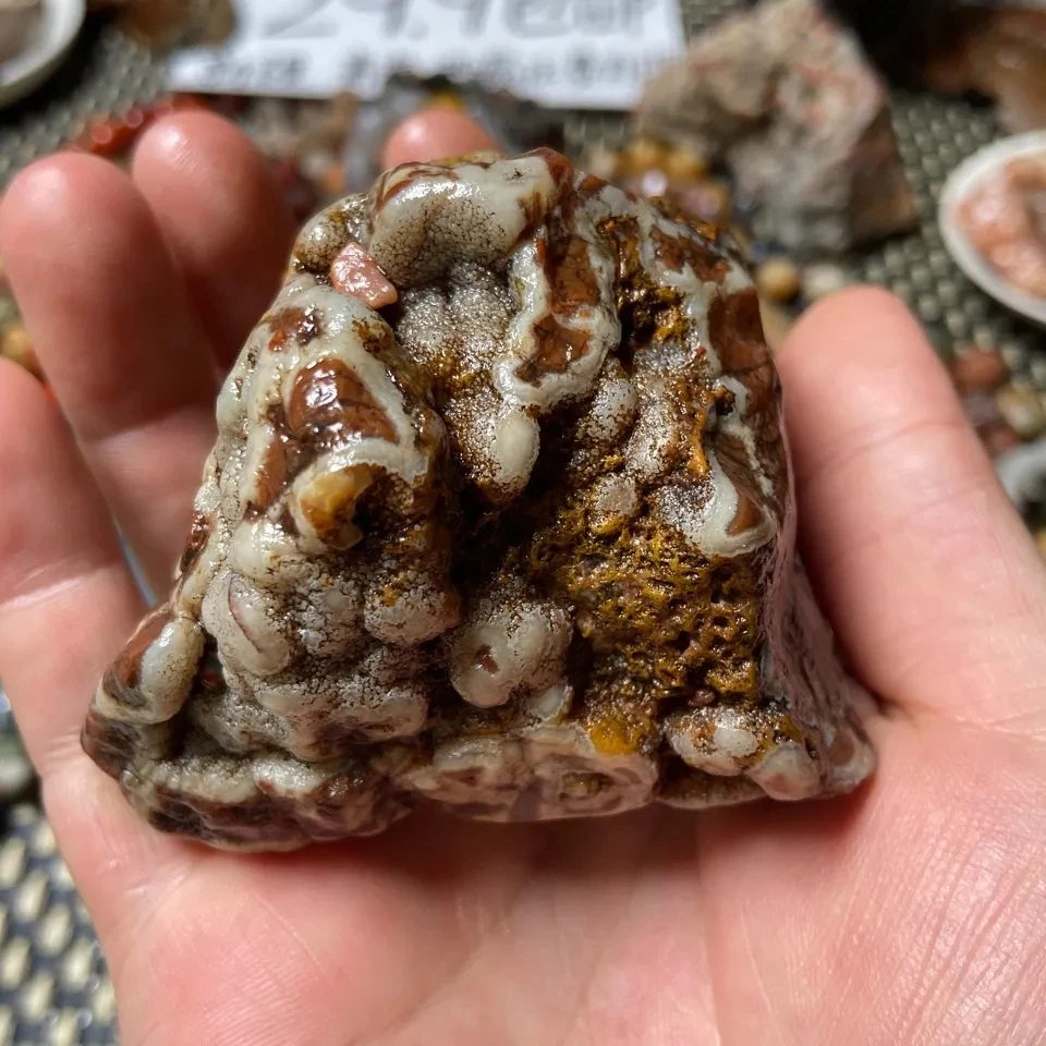 1Pcs Alxa Gobi Stone All Sorts Of Strange Things Stone Unique Shape Agate Color Jade Stone Alxa Pure Natural Random