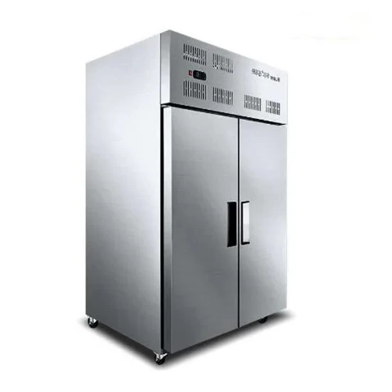 

Commercial Restaurant Quick Shock Air Cabinet Ice Blasting Blast Chiller Freezer Machine For Fish Ice Cream