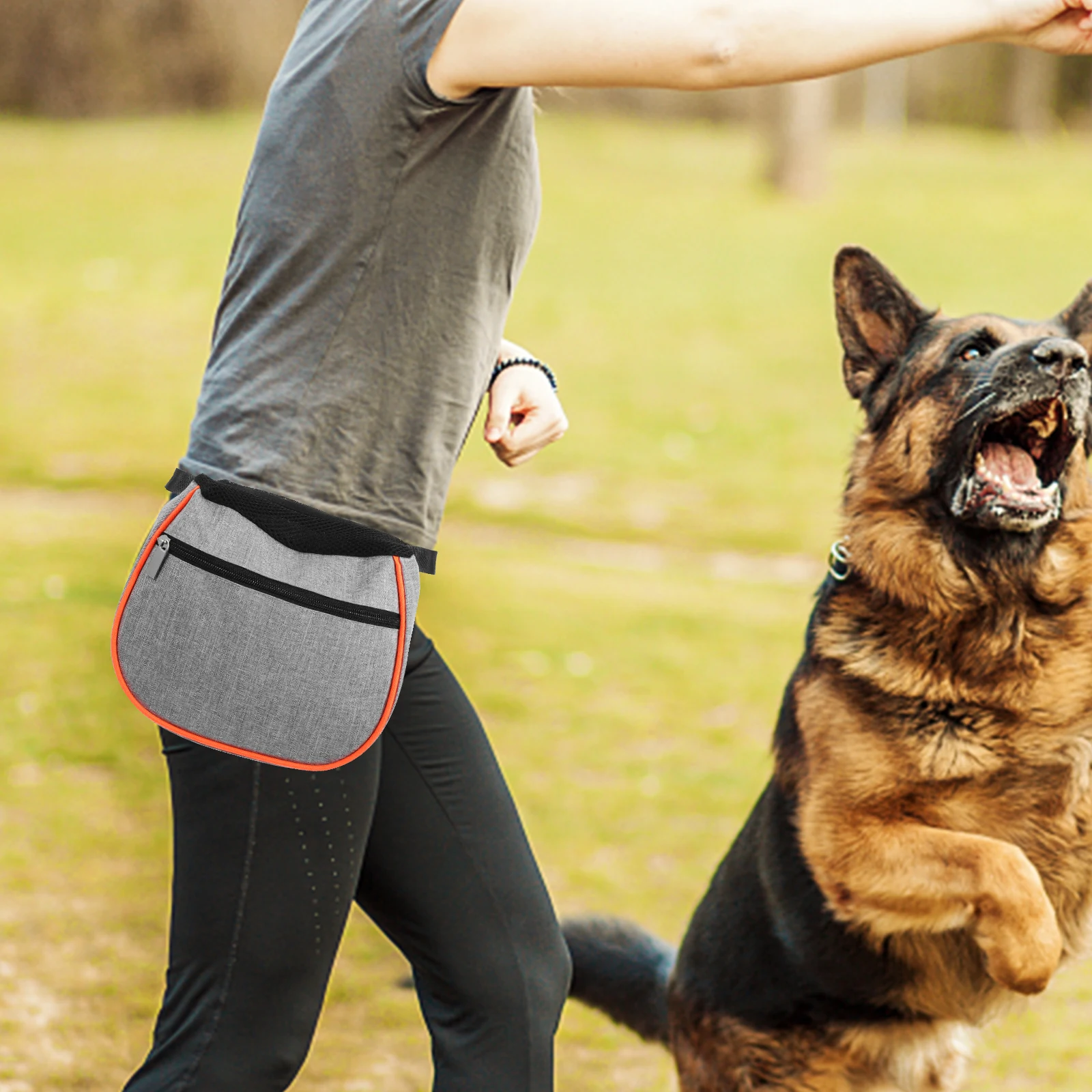 

Snack Bags Dog Training Fanny Pack Pet Waist Puppy Treat Water-proof Zippered Outdoor