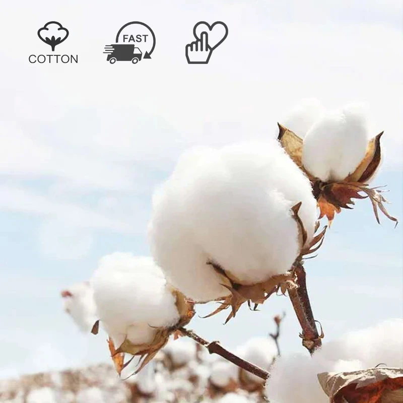 Calcetines de hombre de gran tamaño, cómodos, transpirables, absorbentes del sudor, a prueba de olores, calcetines de agarre de algodón puro, calcetines tobilleros divertidos de dibujos animados para ciclismo