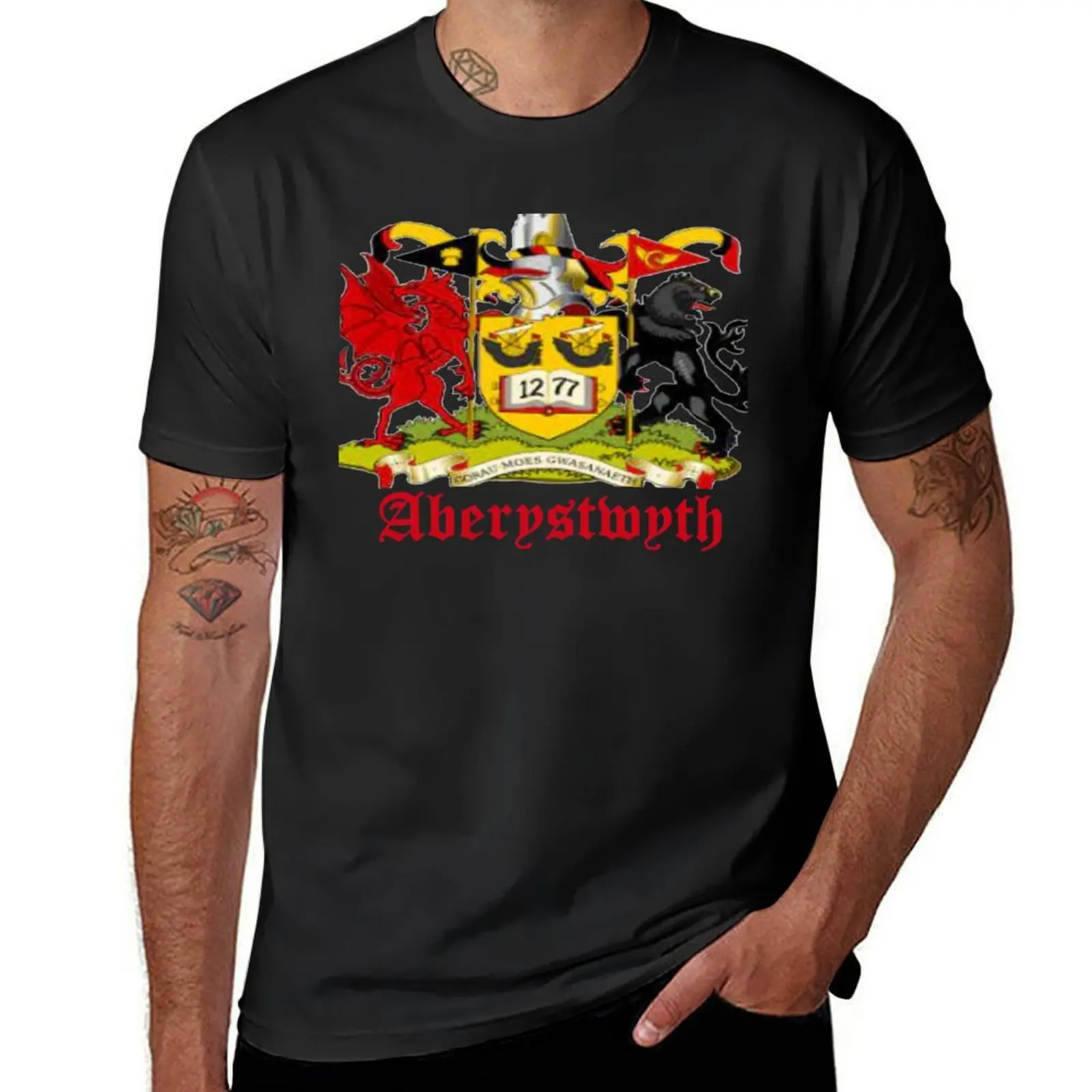 

aberystwyth coat of arms T-Shirt aesthetic clothes blanks summer tops animal prinfor boys heavyweight t shirts for men