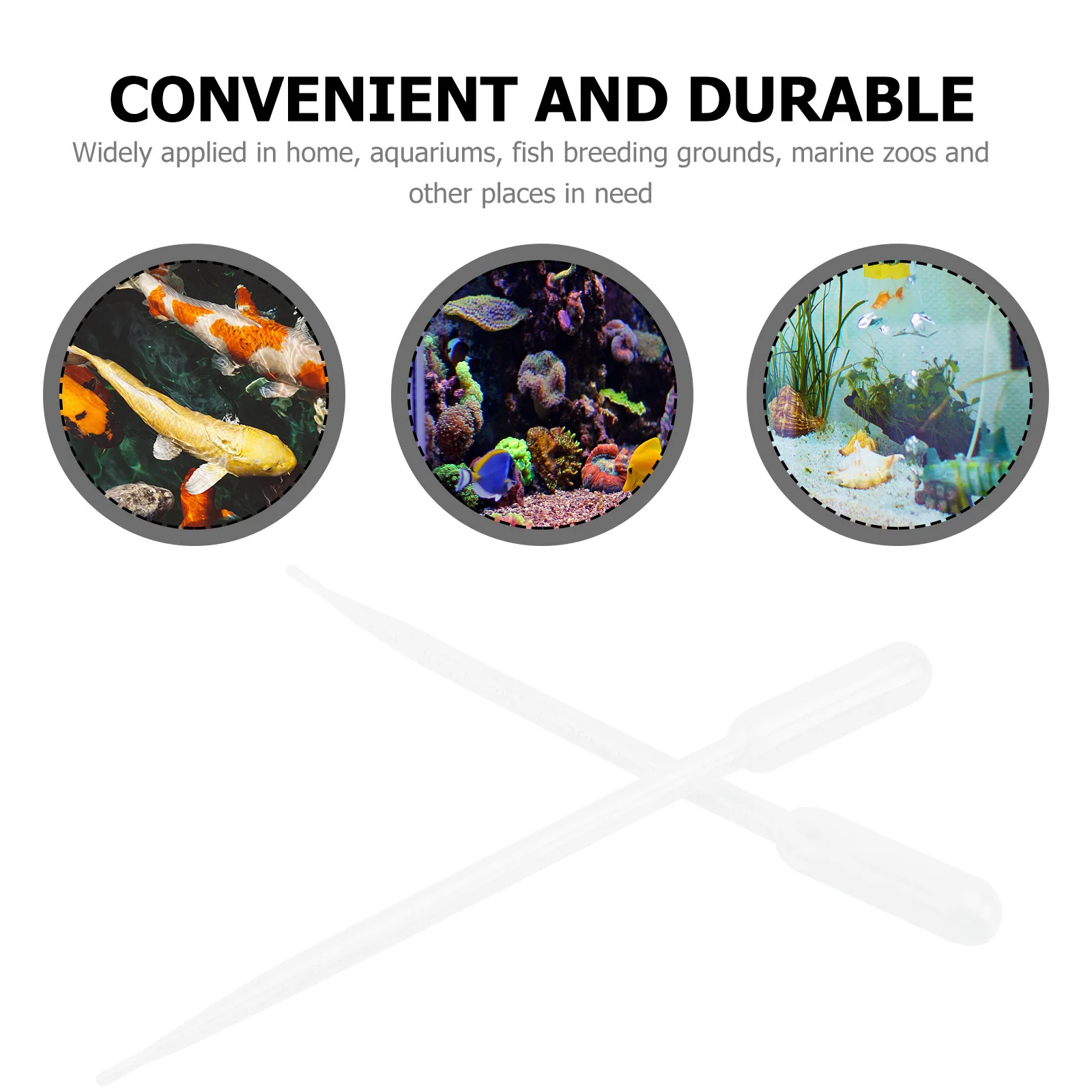 

10Pcs Coral Feeders Plastic Tubes for Feeding Food Fertilizer to Marine Pets Brine Shrimp Guppy Fish Aquarium